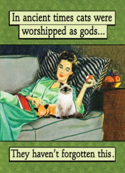 GC0816 - In ancient times cats were worshipped as gods.  They haven't forgotten this.